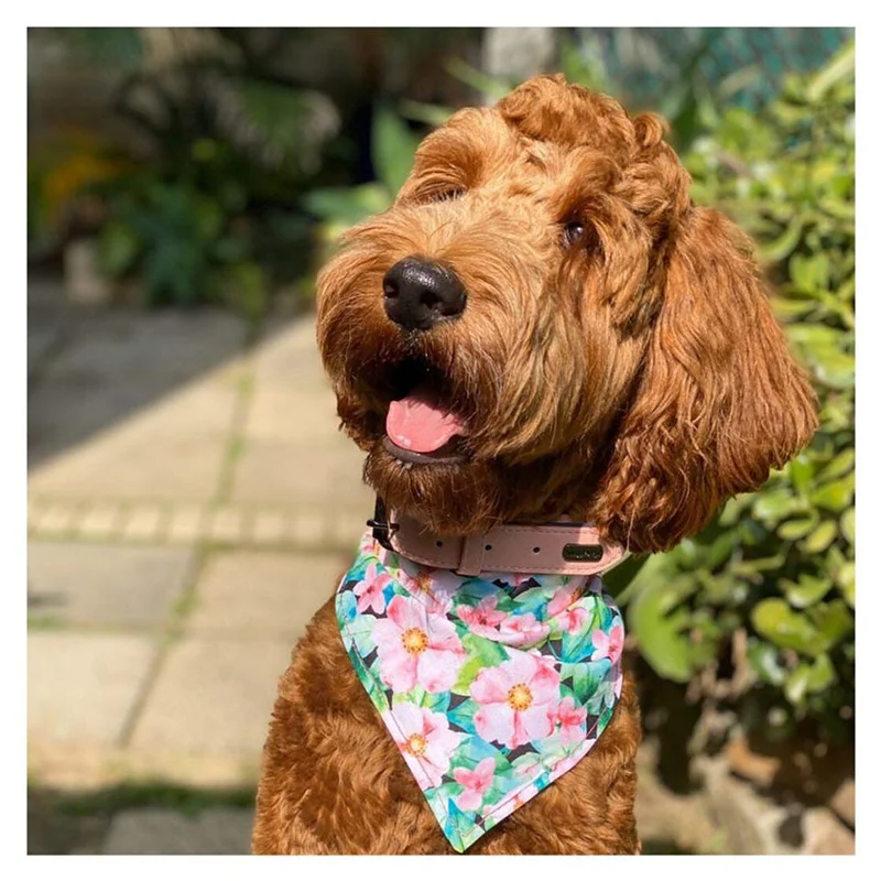 Title 9, Double printed cotton pet scarf — Comfortable a...