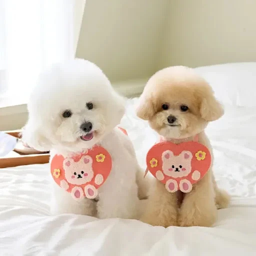 INS Love Flower Little Bear Bib Cat Dog Pet Lip Wipe Bib Teddy Prop Pets Cat Accessories Dog Accessories for Small Dogs — photo 2