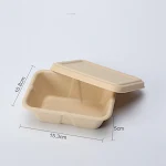 Disposable cassette pulp salad meal green biodegradable boxes. Convenient and eco-friendly packaging for healthy salads — photo 1