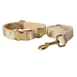 Collar leash set