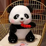 Sugar Gourd Panda