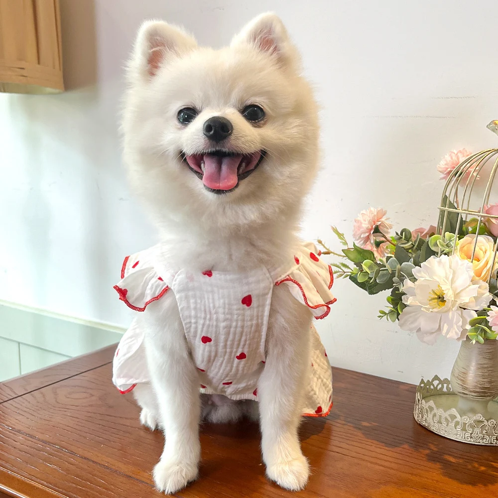 Pet Love Çiçekli Pamuklu Köpek Elbisesi. Rahat ve şık. Yürüyüşler ve fotoğraflar için ideal. Evcil hayvanınızın parlamasını sağlayın! — Fotoğraf 12
