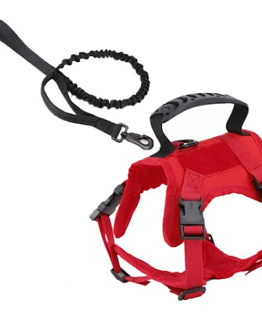 Image product - 0