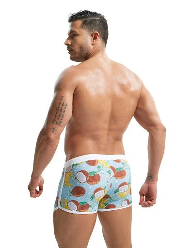Title 3, Summer Mens Nylon Printing Swim Briefs