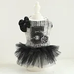 Black White