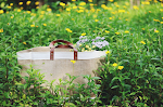 Bolsa Plegable para Mujer de Algodón y Cáñamo Compacta y Reutilizable Ideal para Compras, Viajes y un Estilo de Vida Sostenible — foto 1