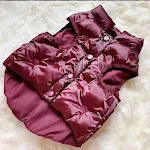 Wine red capless