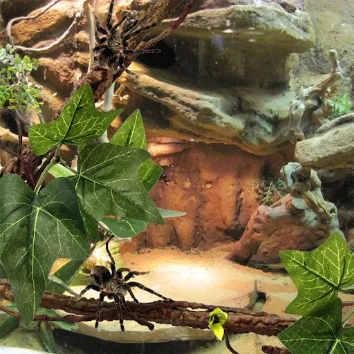 Reptile Climbing Vines with Leaves Terrarium Plant Decoration with Suction Cup for Amphibian Pet Lizard Snake 2 Pieces S — photo 6