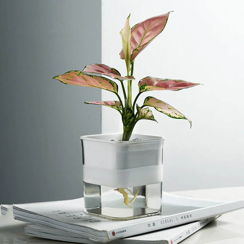 product image - 7