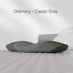 Ordinary Classic Gray