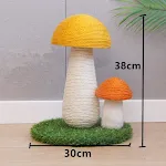 Grass
