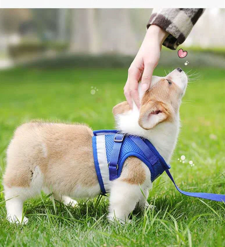 Title 2, Breathable mesh chest back pet leash, designed ...