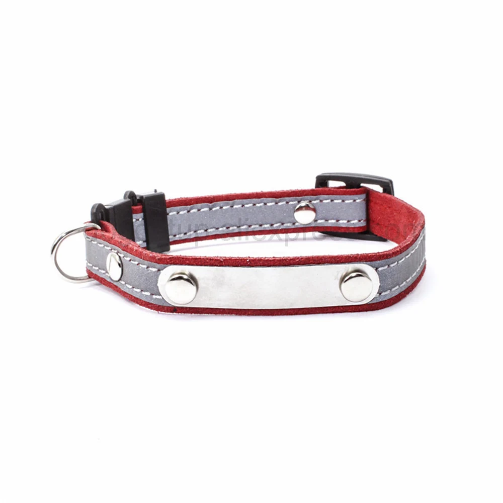 Title 17, Personalized Cat Lettering Collar Reflective Pe...