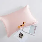 Dachshund