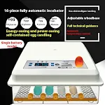 16 single electric incubators