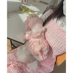 Mesh Bichon Teddy Dog Skirt, designed for style and comfort. Perfect for walks, this skirt offers a fashionable look and — photo 7
