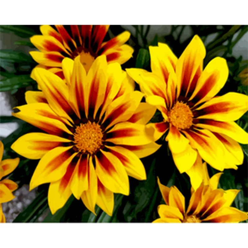 product image - 6