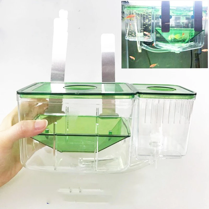 Title 1, Hatching box for sick guppy fish, isolation box...