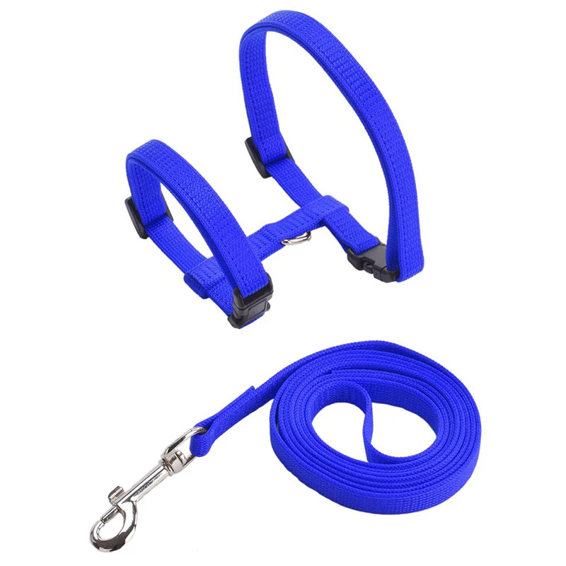 Title 12, Escape-proof Small Dog Cat Harness Collar with ...