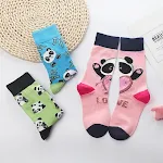 Color Panda