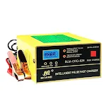 Lead Acid Battery