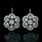 Earrings D