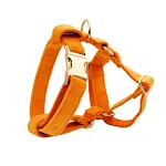 Velvet fabric dog collar for comfort and style. Soft, adjustable and durable for everyday use, providing a comfortable a — photo 3