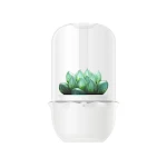 miniatures image - 1