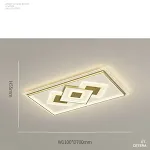 The white light