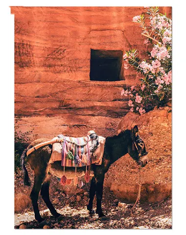 Image product - 2