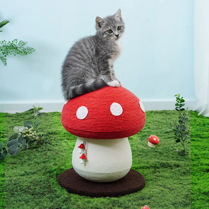 product image - 0