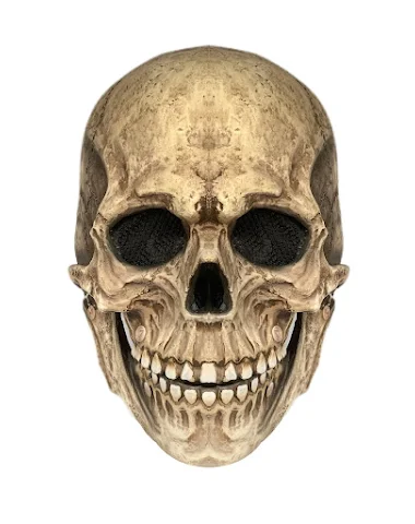 Image product - 3