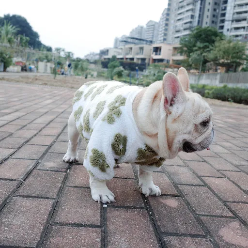 Title 5, Dog Autumn And Winter Thickened Grain Flower Pl...