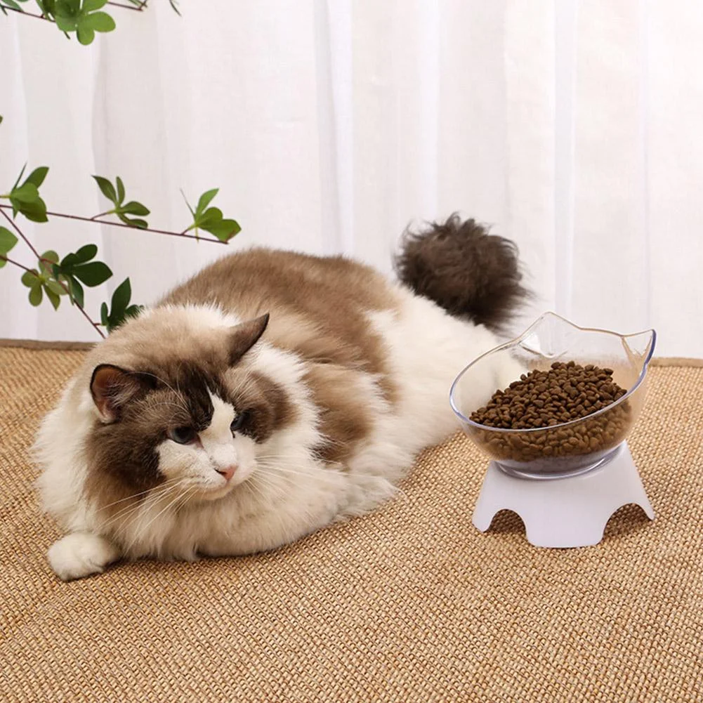Title 10, Non-slip Bowl Pet Water Food Feed Dog Bowls Pet...