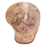 Wood Grain