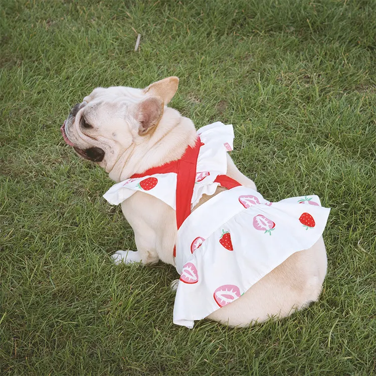 Lotus Leaf Lace Suspender Skirt Fadou Sherry Teddy for Small and Medium Dogs and Cats. Bago Strawberry Print Dog and Cat — photo 3