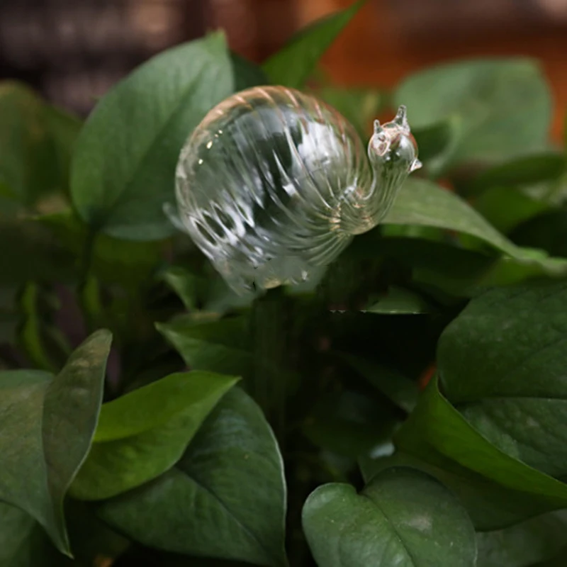 product image - 24