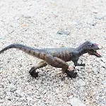 Brinquedo infantil de modelo de dinossauro rei dragão, simulação de tiranossauro de penas, animal selvagem de plástico para mãos e escritório. — foto 1