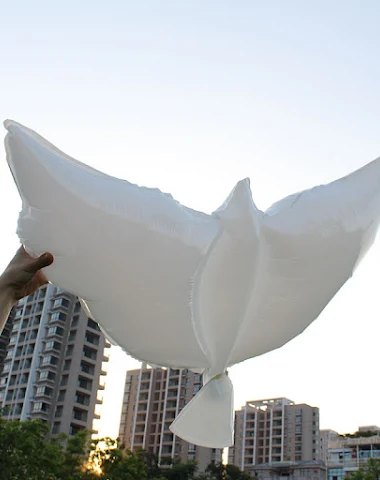 Image product - 0