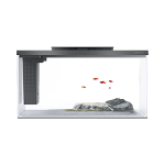 miniatures image - 1