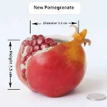 miniatures image - 2