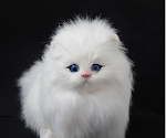 miniatures image - 2