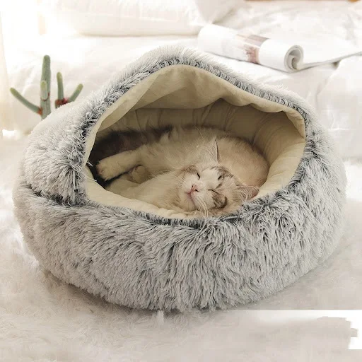 Title 2, Heated cat litter for semi-enclosed cats in win...