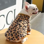 Brown leopard