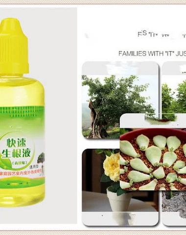 Image product - 2