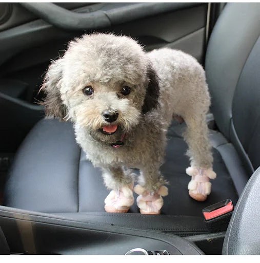 Title 3, Winter Dog Shoes Plush Dog Booties Cute Ear Dec...