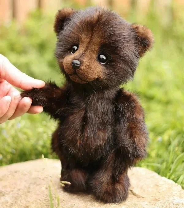 Boneca de pelúcia de algodão Urso preto e Guaxinim brinquedo macio e abraçável Presente perfeito para crianças e bebês Conforto e companhia — foto 8