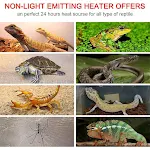 miniatures image - 0
