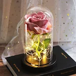 miniatures image - 14