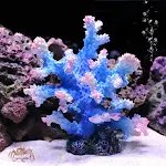 miniatures image - 1